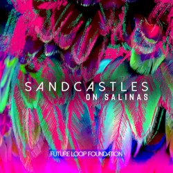 Sandcastles on Salinas