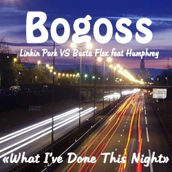 What I’ve Done This Night (Linkin Park vs. Busta Flex feat. Humphrey)
