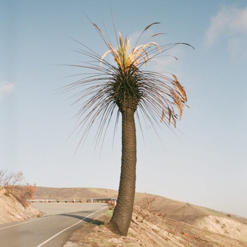 Passional Relations