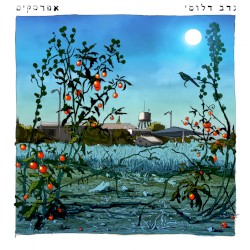 אפרסקים