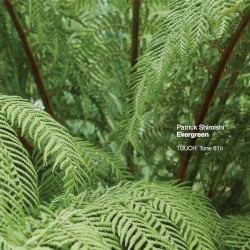 Evergreen