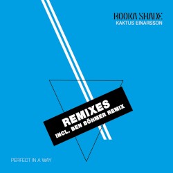 Perfect in a Way [REMIXES]