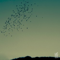 afterglow -残照-