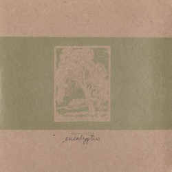 Eucalyptus