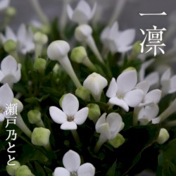 一凛