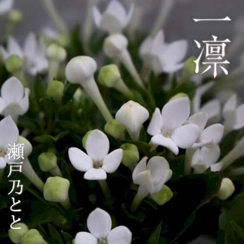 一凛