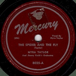 The Spider and the Fly / Still Blue Water