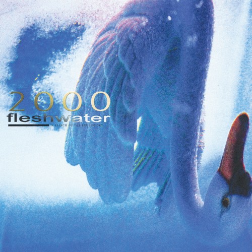 2000: In Search of the Endless Sky