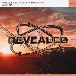 Wasted