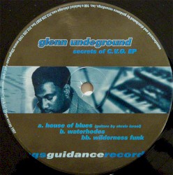 Secrets of C.V.O. EP