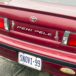 Snovi 99