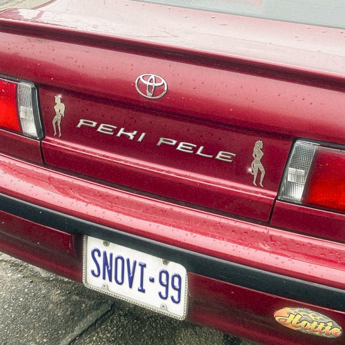 Snovi 99