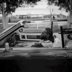 Still Southern Playalistic