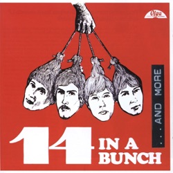 In a Bunch... And More