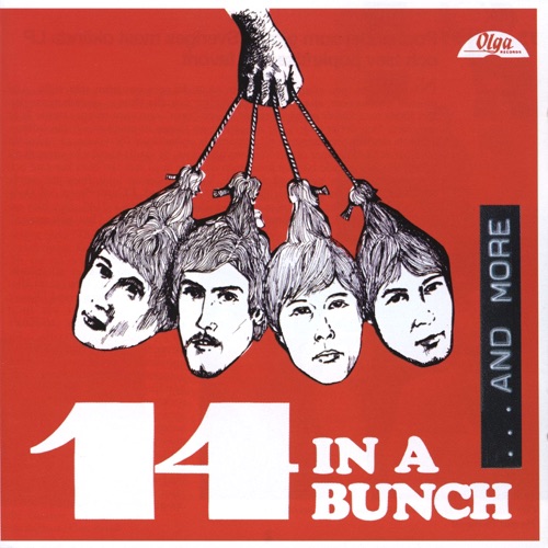 In a Bunch... And More