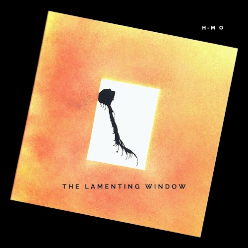 The Lamenting Window