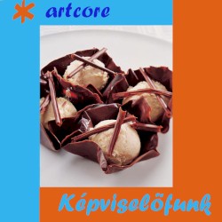 Képviselőfunk