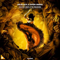 Mucho Bien (The Remixes)