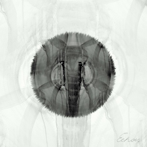 EXPEDITion, Vol. 3: Echoes