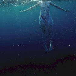The Shark in Your Water
