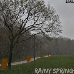 Rainy Spring
