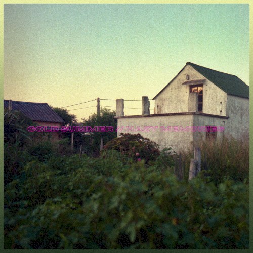 cold summer // hazy memories