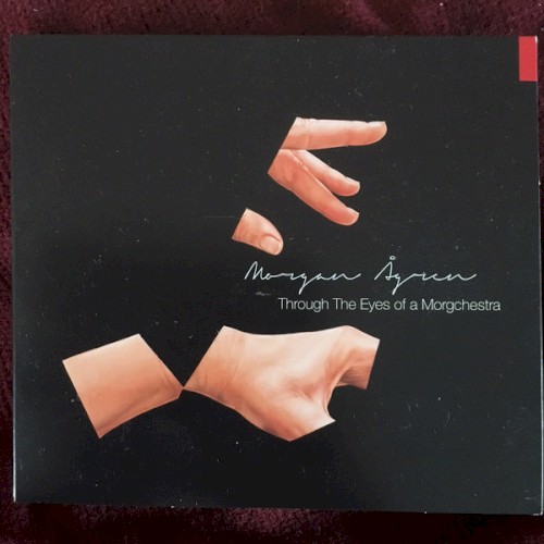 Through the Eyes of a Morgchestra