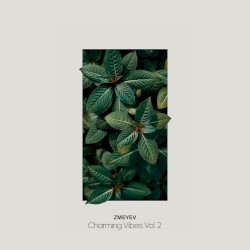 Charming Vibes, Vol. 2