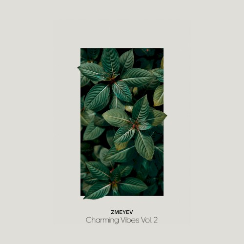 Charming Vibes, Vol. 2