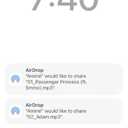 Passenger Princess / Adam