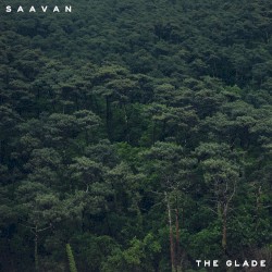 The Glade (A Drunk's Tale)