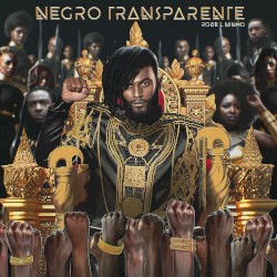 Negro Transparente