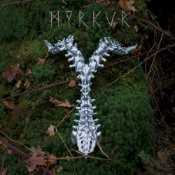 Spine