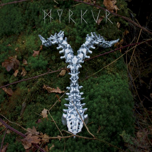 Spine