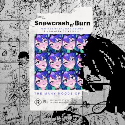 SNØWCR4SH N’ BURN