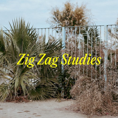 Zig Zag Studies
