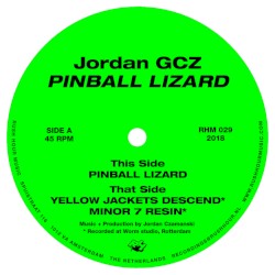 Pinball Lizard