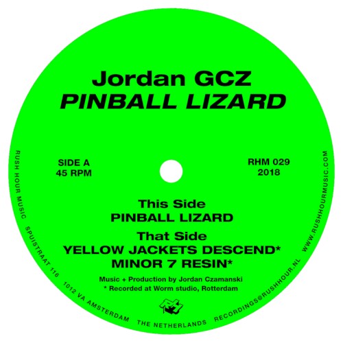 Pinball Lizard