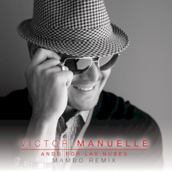 Ando por las nubes (mambo remix)