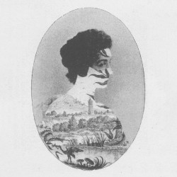 Selected Organ Works