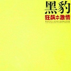 狂飙·激情 (奥林匹克中心体育场大型演唱会现场版)