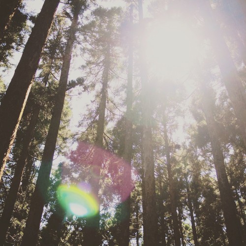 nature