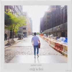 Only a Fool