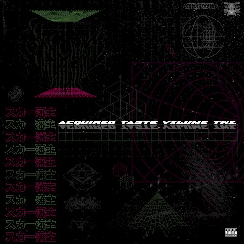 Acquired Taste: Vxl. 2