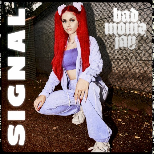 Signal
