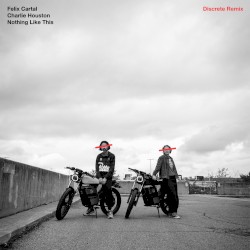 Nothing Like This (Discrete remix)