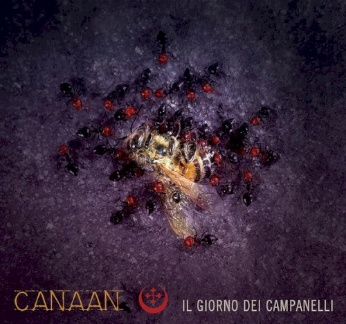 Il giorno dei campanelli