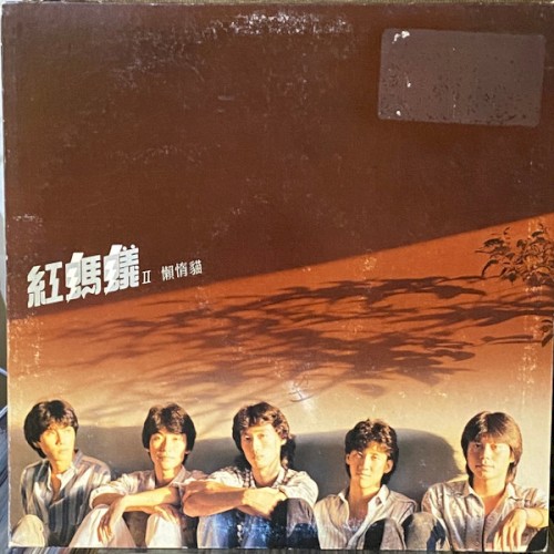 懶惰貓