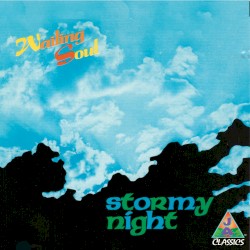 Stormy Night