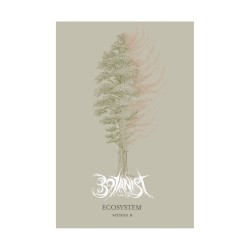 Ecosystem Version B